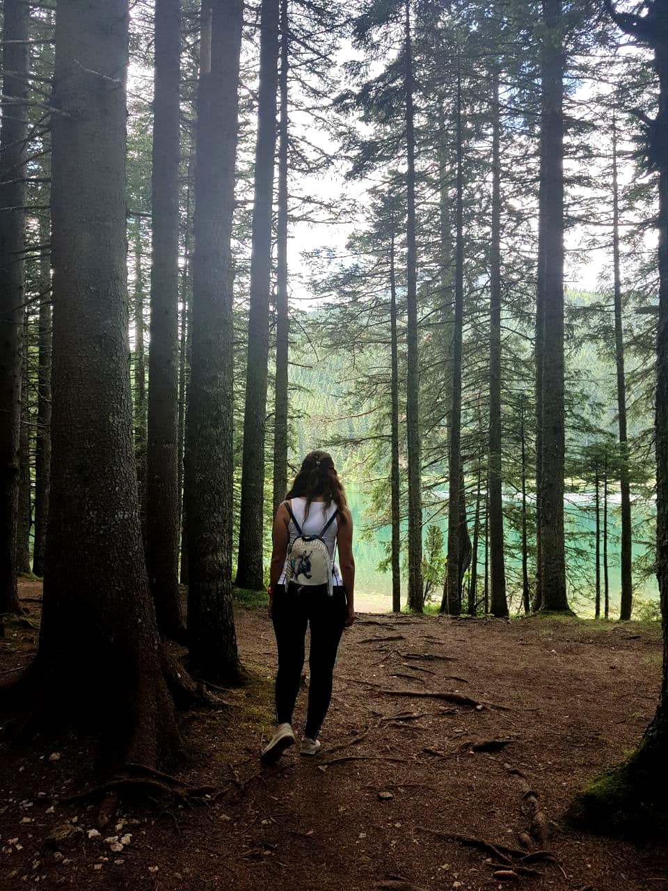 Краса та велич природи. Путівник по Дурмітору - одній з наймальовничіших локацій Чорногорії